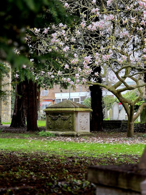 A peaceful scene at Kensal Green Cemetery featuring a stone memorial chest with decorative carvings, situated beneath a blooming magnolia tree with light pink and white flowers. The vibrant blossoms a