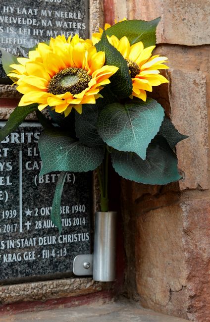 A floral arrangement featuring a bouquet of bright yellow sunflowers with dark centers and green leaves, attached to a metal holder mounted on a brick wall near a memorial plaque at Kensal Green Cemet