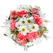 Infused with the essence of Kensal Green's tree-lined avenues, this floral bouquet is a true paean to spring's renewal and the artistry of local florists. At its center, luminous white daisies with lime-hued centers radiate cheerfulness, while plush coral-pink carnations circle them, adding layers of inviting texture and bright color-capturing the uplifting spirit that flows through College Road on a sunny afternoon. Wisps of delicate gypsophila, or baby's breath, are interwoven, imparting a delicate lightness as soft as early morning mist. Slender alstroemeria buds subtly peek out, offering flashes of dusky purple and pink tones-a quiet promise of future blooms and changing seasons. Varied shades of green, from silvery eucalyptus to deep forest hues, provide both structure and fragrance, enveloping the florals in a cool, calming halo. This arrangement conjures feelings of gentle encouragement and celebration, ideal for marking birthdays, expressing gratitude, or delivering a smile to a loved one's door in Kensal Green. Its harmonious design, thoughtful textures, and fresh-from-the-market appearance embody the heartfelt approach of neighborhood floristry-bringing joy, hope, and a sense of local pride to every home.